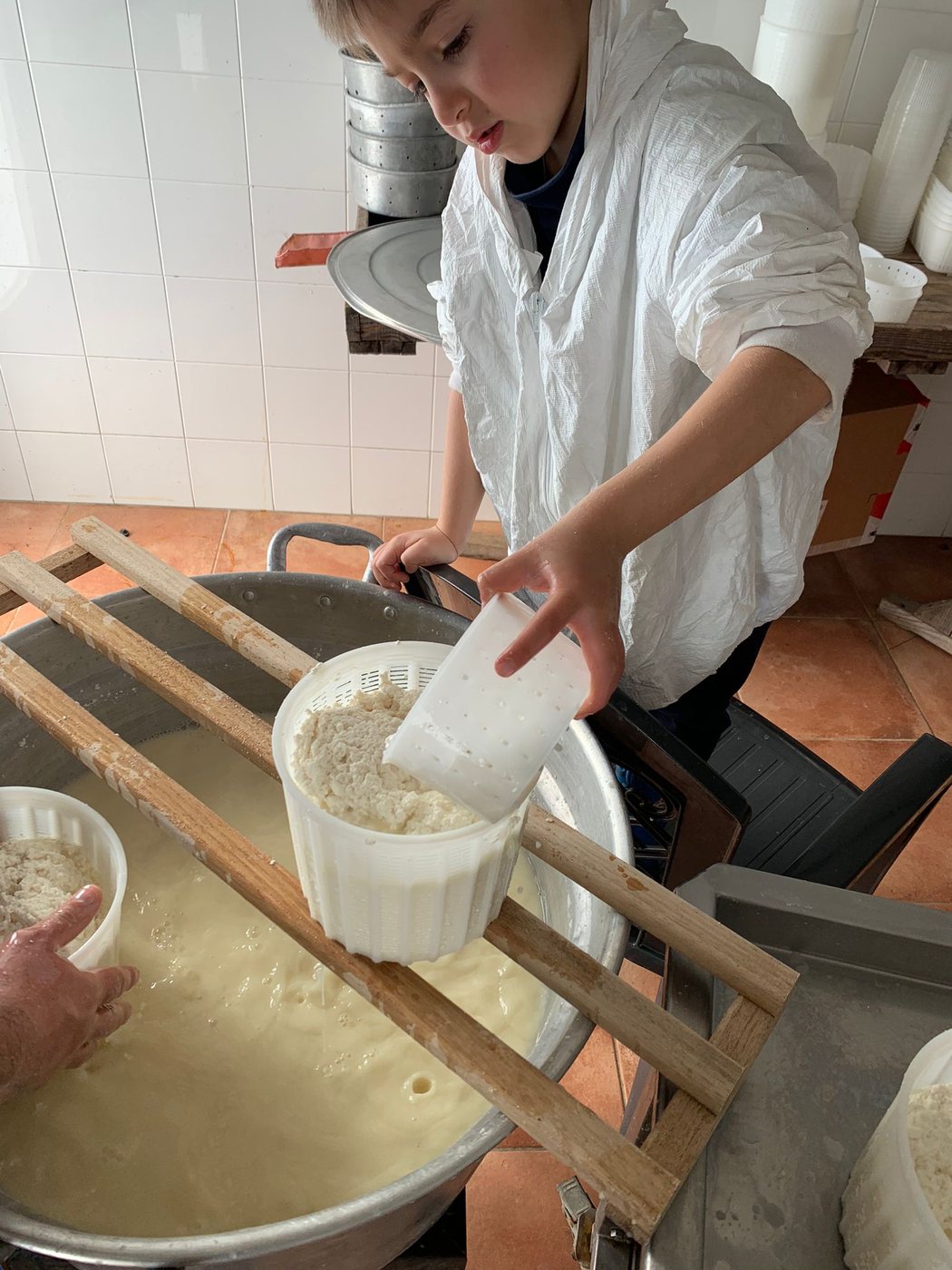 Laboratorio della fattoria didattica: un bambino prepara il formaggio